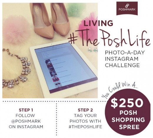 Instagram Marketing: How to Run Successful Instagram Photo Contests image ThePoshLife Contest Page