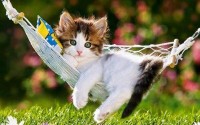super adorable 
https://twitter.com/TheWorldStories