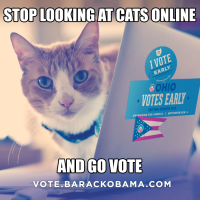 24 Cats more prone to Vote On Election Day Than Most americans
