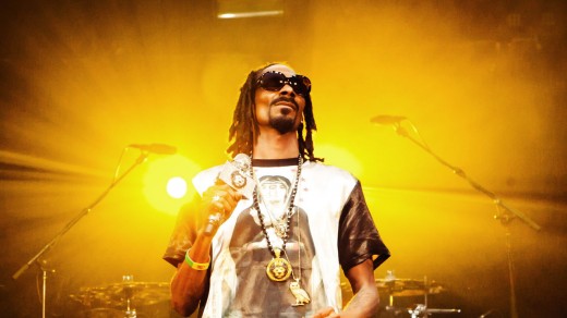 Snoop Dogg, Investor