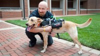This Computerized Harness might be The canine Translator we now have Been waiting For