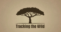 Meet tracking the Wild: the social software the use of crowdsourcing to assist Africa’s flora and fauna