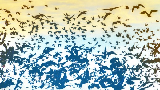 Twitter’s Transparency document unearths the sector’s Most data-Hungry Governments