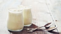A Probiotic found in Yogurt offers Hope To cure Peanut allergic reactions