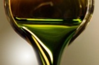 Algal Biofuel Icon Sapphire vitality strikes to Diversify Product Line