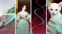 star Wars, Ada Lovelace, DNA, Or The web: The Geek Debate Continues