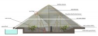 This Dew-Harvesting Greenhouse Waters Itself–and then Makes easy ingesting Water