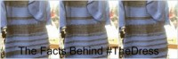 The info in the back of #TheDress: Social Media Generates Buzz & sales