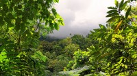 Costa Rica Is Now operating On 100% Renewable electrical energy