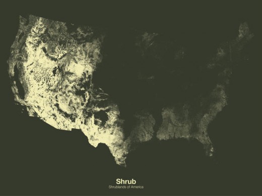 gorgeous Maps Of all the timber, Sprawl, and Corn within the U.S.