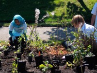 The “Greenest colleges on the planet” Do greater than Put solar Panels On The Roof