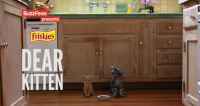 Purina’s “dear Kitten” Video collection Proves BuzzFeed Is The Cat’s Pajamas For content material entrepreneurs
