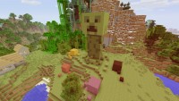 How A Minecraft addiction turned into A Multinational trade