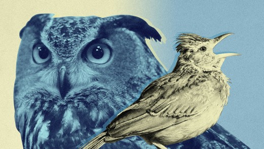 Morning people Vs. night time Owls: 9 Insights Backed via Science