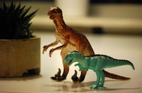 What came about To The Dinosaurs – the newest Google Fail