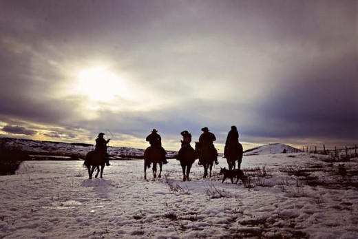 Can flora and fauna-friendly beef lend a hand Ranchers And Conservationists Get along?