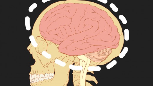 methods to master The Opposing sides Of Your brain