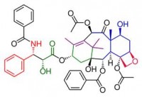 Metro Detroit teacher’s App Helps college students grasp organic Chemistry