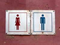 Social traits: girls and management [Study]