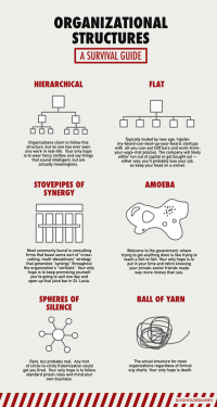 Comically explained: The 6 varieties of company Org Charts