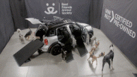 Mini Demonstrates How lovable canine Makes buying A Used car an entire Lot higher