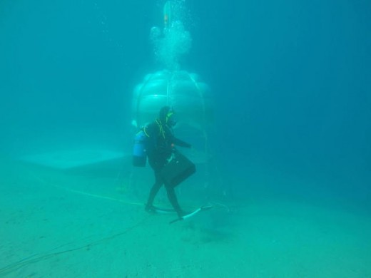 There Are Secret Underwater Gardens Off The Coast Of Italy where Diver-Farmers Are growing greens