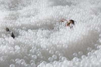 Skip The Beach, Jump Around In This Giant Ball Pit Instead