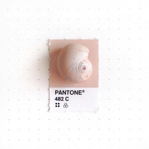20 Tiny Objects color-Matched With Pantone Chips