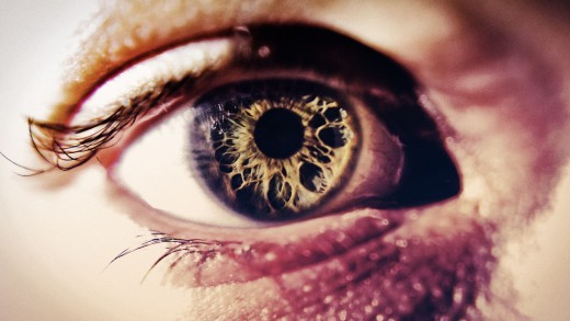 My Retina Tracker Crowdsources Blind analysis individuals