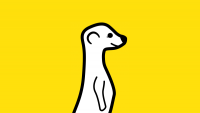 now not Twitter exclusive, Meerkat strikes nearer To fb