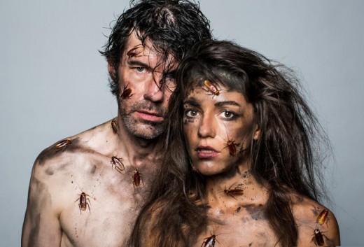 Q&A: Sagmeister & Walsh announces it can be shifting by Getting bare And lying In Cockroaches