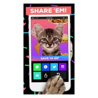 Giphy’s New App lets you Make super simple GIFs for your cellphone