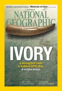 How Ingenious pretend Elephant Tusks Helped observe The illegal Ivory change