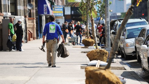 NY city is about To Plant Its 1 Millionth New Tree, Two Years in advance Of schedule