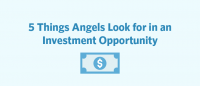 5 things Angels search for in an investment possibility