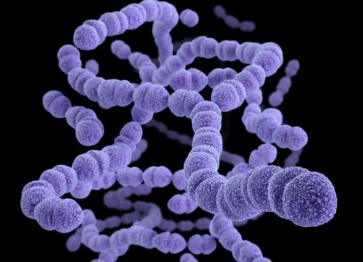 Cempra Antibiotic Hits phase three goal, FDA filing deliberate