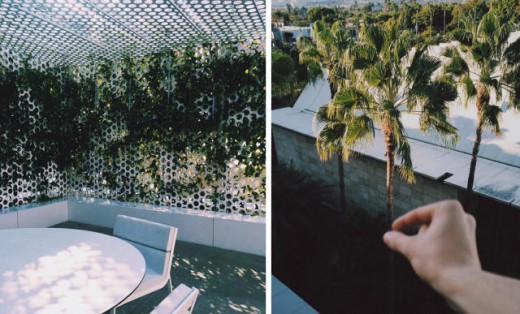YouTube Sensation Connor Franta On tips on how to Take the most effective Instagram photograph