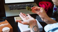 Meadow Launches A Cloud Platform For Marijuana Dispensaries