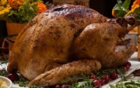 Serving Up A Bit Of Gratitude With Turkey