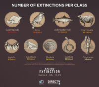 See The Animals which have Already Died Off as the percent Of Extinction accelerates