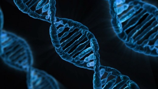 This Gene might prolong Your life by 25%