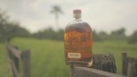 Shaking Up The American Rum Market