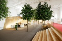 This administrative center brought A Mini woodland Indoors