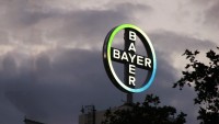 Bayer companions With Gene-enhancing Startup CRISPR To enhance New medication