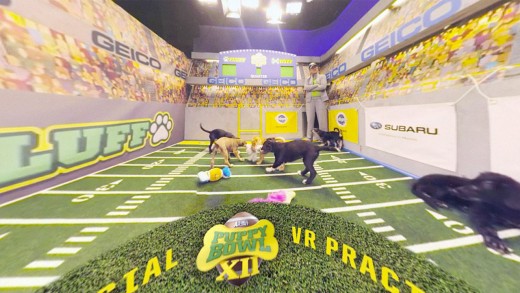 What’s better Than The pet Bowl? puppy Bowl VR