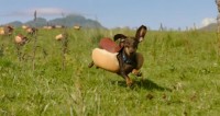 Heinz Ketchup Welcomes household Of Wiener dogs In lovable advert For super Bowl