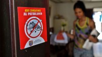 Google Is Working With UNICEF To Map The Zika Virus