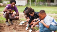 7 classes In Persuasion From individuals who Get youngsters To consume Veggies