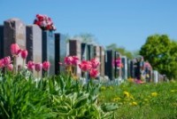 Deathtech Rising: Mylestoned Unveils Interactive Memorial software