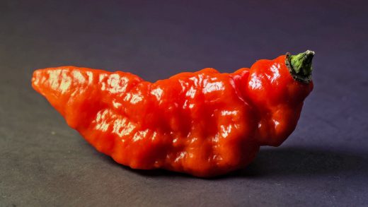 How Wendy’s Is Making Ghost Peppers Safe For Middle America